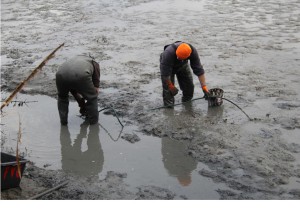 63862917806cc2018_Abfischen_Baeckerweiher_0008.jpg