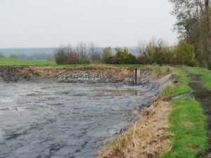 6386280bd67a72019_Abfischen_0032.jpg