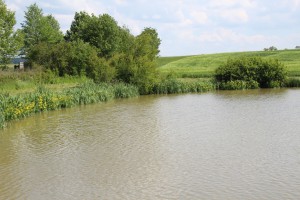 638626728e1b92019_bluehender_Wagnersweiher_0002.jpg