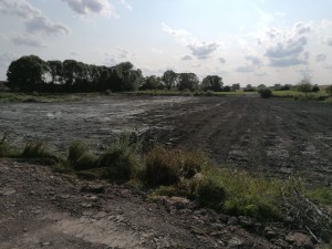 63862411aeae92021_Eybenweiher_0005.jpg